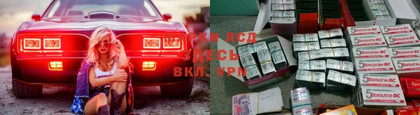 a pvp Каменка