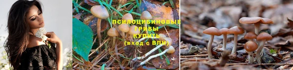 герыч Каменногорск