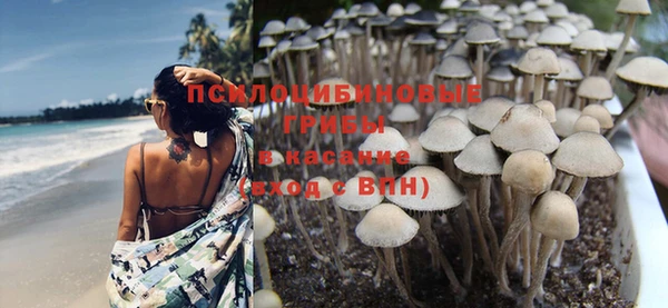 герыч Каменногорск