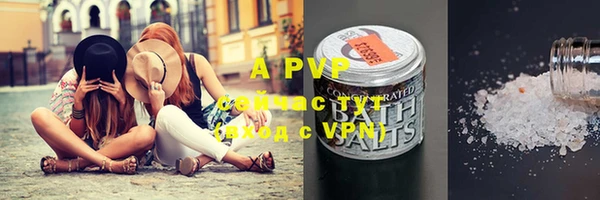 a pvp Каменка