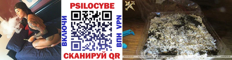 mega сайт  Зея  Псилоцибиновые грибы мухоморы 
