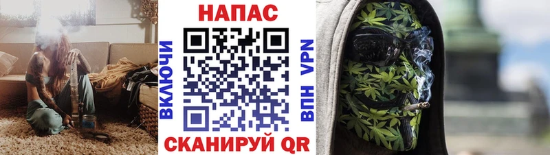 как найти   Зея  Каннабис гибрид 